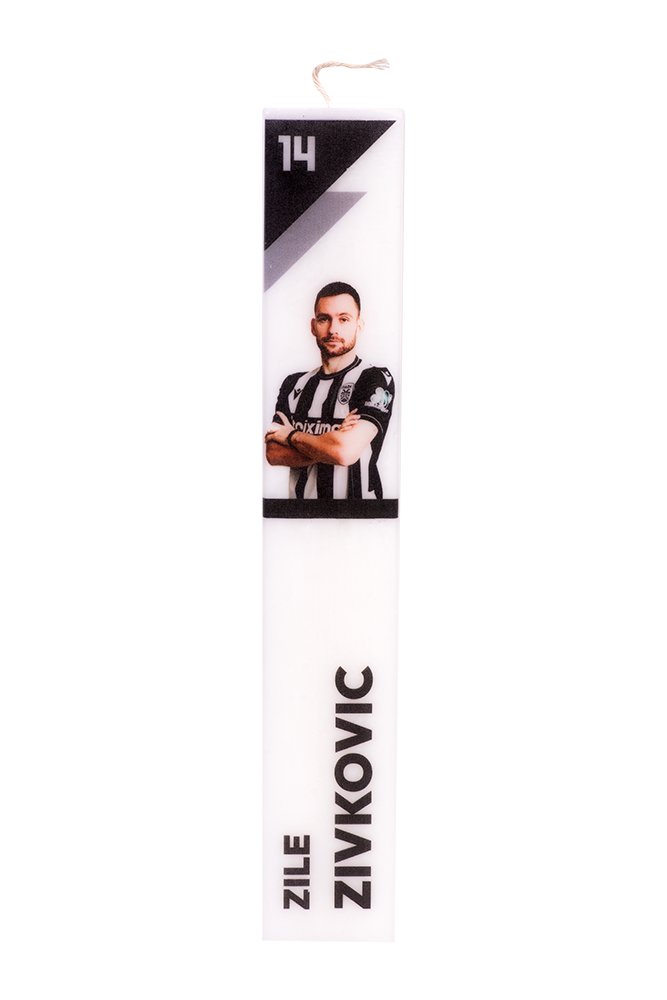 ΛΑΜΠΑΔΑ ΠΑΟΚ A.ZIVKOVIC 2025