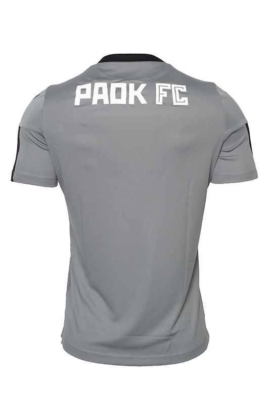 T-shirt ΠΑΟΚ Προπόνησης Γκρι Παραλλαγή 19-20